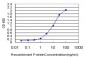 CCL15 Antibody (monoclonal) (M05)