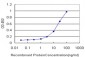 CCL7 Antibody (monoclonal) (M03)