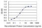 CCT2 Antibody (monoclonal) (M01)