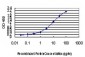 CD81 Antibody (monoclonal) (M01)