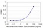 CDC14A Antibody (monoclonal) (M01)