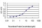 CDC25C Antibody (monoclonal) (M01)