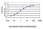 CDC42BPA Antibody (monoclonal) (M01)