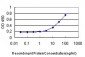 CDCA3 Antibody (monoclonal) (M10)