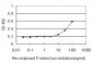 CDCA3 Antibody (monoclonal) (M11)