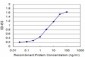 CDH11 Antibody (monoclonal) (M01)