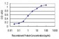 CDK5RAP3 Antibody (monoclonal) (M01)