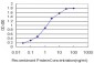 CELSR3 Antibody (monoclonal) (M01)