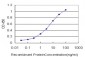 CENTB2 Antibody (monoclonal) (M01)