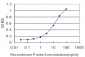 CES2 Antibody (monoclonal) (M02)