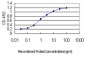 CHD4 Antibody (monoclonal) (M01)