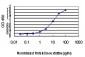 CHFR Antibody (monoclonal) (M01)