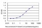 CHN1 Antibody (monoclonal) (M03)