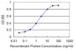 CHUK Antibody (monoclonal) (M03)