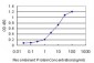 CIDEB Antibody (monoclonal) (M01)