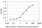 CKS2 Antibody (monoclonal) (M02)