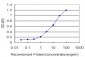 CLDN5 Antibody (monoclonal) (M01)