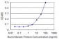 CLPP Antibody (monoclonal) (M01)