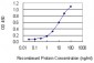 CNR2 Antibody (monoclonal) (M01)