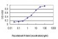 COASY Antibody (monoclonal) (M01)