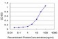 COASY Antibody (monoclonal) (M05)