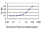 COL4A6 Antibody (monoclonal) (M01)