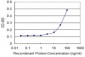 COL5A1 Antibody (monoclonal) (M01)