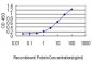 COMMD7 Antibody (monoclonal) (M01)