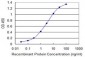 COX4I2 Antibody (monoclonal) (M01)