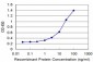 COX6B1 Antibody (monoclonal) (M02)