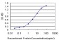 CPS1 Antibody (monoclonal) (M01)