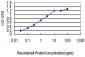 CPSF3 Antibody (monoclonal) (M01)