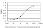 CREB3 Antibody (monoclonal) (M01)