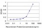 CREB5 Antibody (monoclonal) (M01)