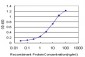 CREB5 Antibody (monoclonal) (M02)