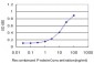 CRKL Antibody (monoclonal) (M03)