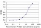 CRLF1 Antibody (monoclonal) (M02)