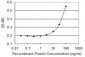 CRMP1 Antibody (monoclonal) (M50)