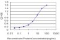 CRX Antibody (monoclonal) (M03)