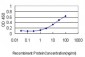 CRYAB Antibody (monoclonal) (M01)