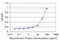 CSDA Antibody (monoclonal) (M06)