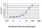 CSE1L Antibody (monoclonal) (M03)