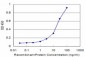 CSF1 Antibody (monoclonal) (M01)