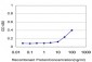 CSNK2A1 Antibody (monoclonal) (M01)