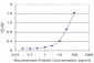 CSTB Antibody (monoclonal) (M01)