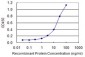 CTBS Antibody (monoclonal) (M01)