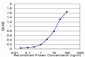 CTH Antibody (monoclonal) (M01)