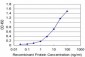 CTH Antibody (monoclonal) (M03)