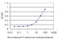 CTLA4 Antibody (monoclonal) (M08)