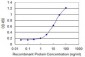 CTNNB1 Antibody (monoclonal) (M07)